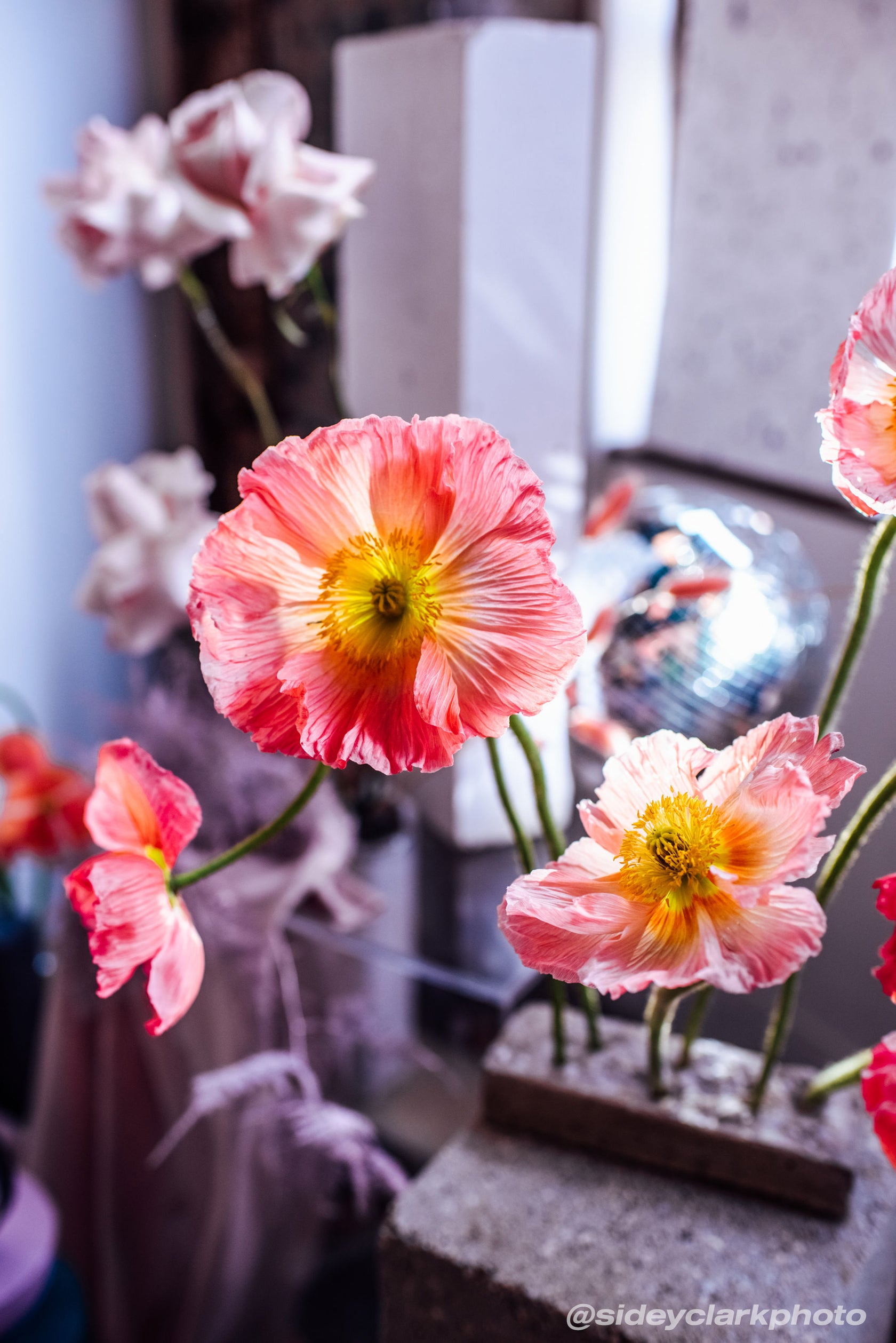 Weddings + Events Urban Flower Co