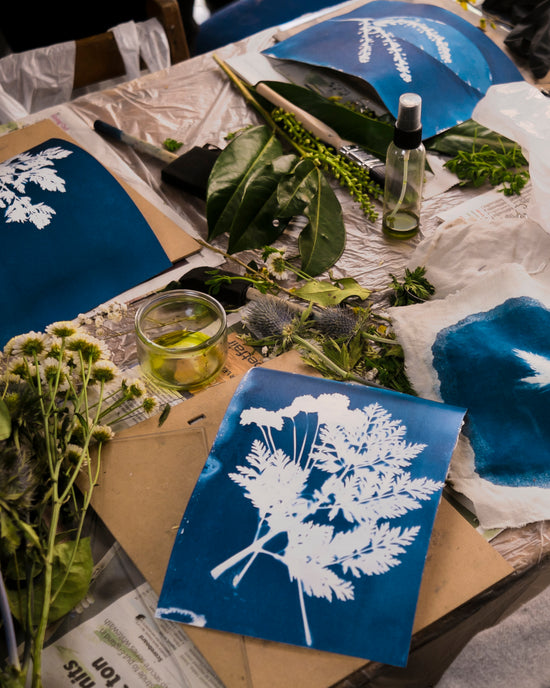 Cyanotype D.I.Y Kit
